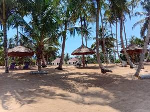 a sandy beach with palm trees and straw umbrellas at Hôtel Lucia Grand Lahou in Grand-Lahou