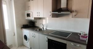 a kitchen with a sink and a washing machine at Apartamento Pinilla Lagunas de Villafáfila in Manganeses de la Lampreana