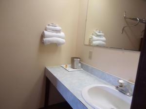 a bathroom with a sink and a mirror and towels at Huggy Bear Motel - Warren in Warren