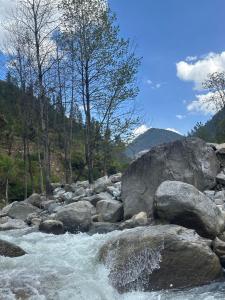 a stream of water with rocks and trees at Aroha Living in Bandal