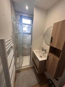 a bathroom with a shower and a sink and a mirror at Aquero Lourdes T2 in Lourdes