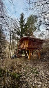 a small building with a thatched roof in the woods at Dům ve stromech nad řekou in Moravecké Pavlovice