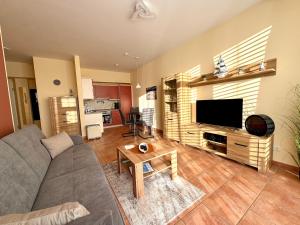 ein Wohnzimmer mit Sofa und Fernseher in der Unterkunft Südwind Apartment Nr 05 - FeWo Usedom, strandnah, Schwimmbad, Sauna, Parkplatz, WLAN, und Balkon in Zempin