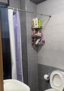 a bathroom with a shower stall with a toilet and a shower at Lina in Golem