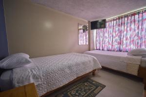 ein Schlafzimmer mit zwei Betten und einem Fenster mit Fernseher in der Unterkunft Hotel Los Alamos in Riobamba + 4 Fotos