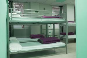 a room with four bunk beds with purple pillows at Augas Quentes Hostel in Ourense
