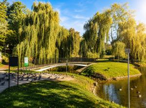 a group of ducks swimming in a river with a bridge at JACUZZI & SAUNA Apartament Warszawa Wola in Warsaw +19 photos