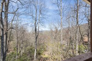 a view of a wooded area with trees in the background at Eagles View in Boone