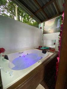 a large hot tub in a room with a window at Chalé Premium com jacuzzi privativa Florianópolis in Florianópolis