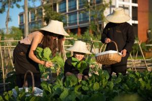 a group of people wearing hats in a garden at North Hill City Resort in Hang Dong