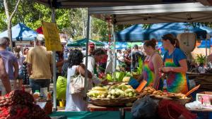 Foto dalla galleria di Jackaroo Motel a Mareeba