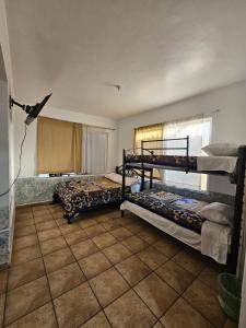 a bedroom with two bunk beds and a window at Hostal Maple in Querétaro