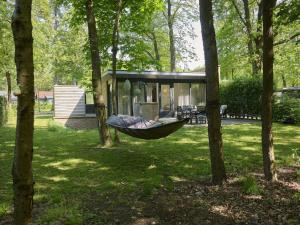 eine Hängematte, die an zwei Bäumen in einem Hof hängt in der Unterkunft De Douglas in Soesterberg