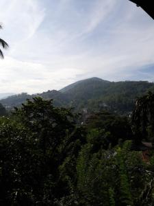 Paesaggio naturale nelle vicinanze dell'affittacamere