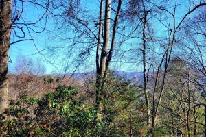 a group of trees with a tower in the distance at Big Timber Creek Cabin in Sugar Grove +40 photos