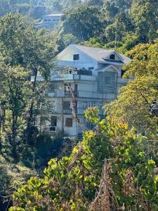 a white building in the middle of trees at The Golden Attic in Yangang