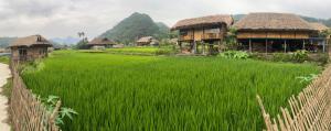 a field of green grass next to a building at Corn family homestay in Làng Me