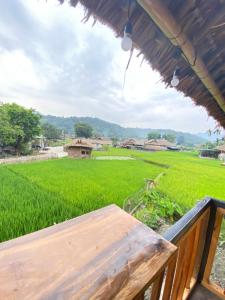 a view from a porch of a rice field at Corn family homestay in Làng Me