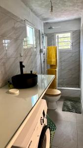 a bathroom with a sink and a toilet at Tree House in Saint Martin