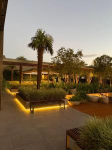 a courtyard with benches and a palm tree with lights at Loft with pool and garage, next to Bourbon in Porto Alegre