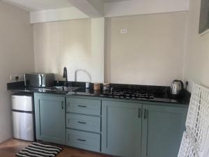 eine Küche mit Spüle und Herd Oberer Backofen in der Unterkunft Studio Flat in Dominika