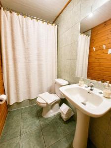 a bathroom with a toilet and a sink at Hotel El Coihue in Pucón