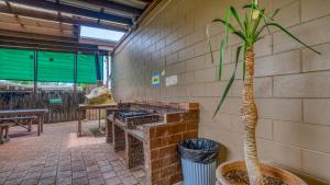 a plant in a pot next to a brick wall at Beachcomber Lodge & Backpacker in Kaitaia