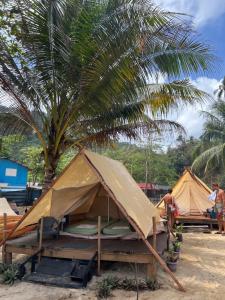 a group of tents on a beach with a palm tree at Long Beach Camp in Perhentian Islands +76 photos