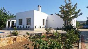 a white house with a tree in front of it at Eliofos Luxury Villa in Polis Chrysochous