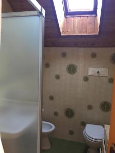 a bathroom with a toilet and a sink and a shower at Appartamento Klobenstein in Collalbo