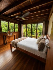a bedroom with a bed in a room with windows at Cape Tribulation Getaway in Cape Tribulation +32 photos
