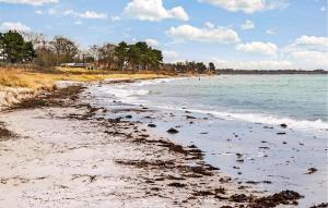 a beach with seaweed on the sand and the water at Nice Home In Samsø With Wifi in Ballen +6 photos