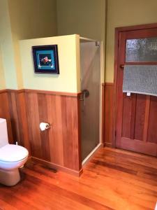 a bathroom with a toilet and a shower and a door at School Lane Guesthouse in Whangarei