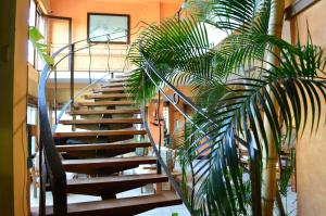 Gambar di galeri bagi Le Gite du Bonheur Guest House & Car Rental di Tamarin