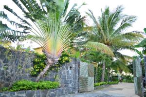 Taman di luar Le Gite du Bonheur Guest House & Car Rental