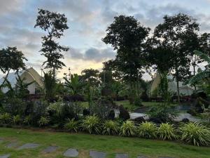 a garden with flowers and trees in a park at Hotels Motel Nhà nghỉ CHINH HOA PLASS in Ấp Ray