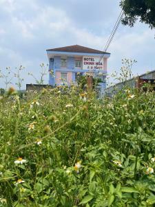 a building in the background with a field of flowers at Hotels Motel Nhà nghỉ CHINH HOA PLASS in Ấp Ray +10 photos