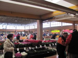 Hosté ubytování Apartment Alma