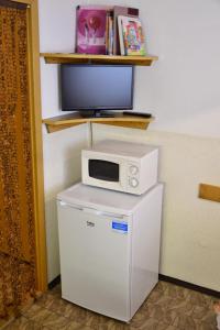 microondas en la parte superior de una nevera con TV en Apartment Gebrt en Rokytnice nad Jizerou
