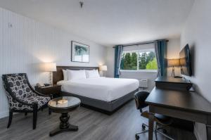 a hotel room with a bed and a desk and a piano at Hotel International in Lynnwood