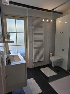 a bathroom with a toilet and a sink and a shower at domaine grangieras in Château-lʼÉvêque