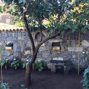 un muro di pietra con un albero davanti di Casa Vacanza Cleo a Catania