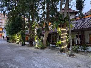 a street with trees and a building with lights on it at Pagi Pagi villas in Ao Nang Beach