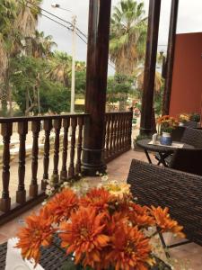 Uma varanda ou terraço em Desert Nights Hostel