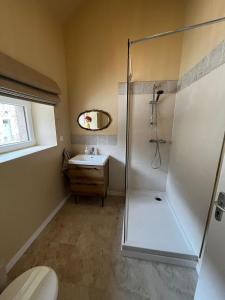 a bathroom with a shower and a toilet and a sink at Georgie et Margot - Chambres d'hotes et Gite in La Châtre-Langlin +49 photos