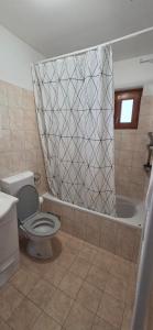 a bathroom with a toilet and a shower curtain at Apartment Pepca in Čezsoča +14 photos