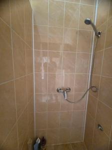 a shower with a shower head in a bathroom at Full relax in Zatoka +27 photos
