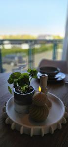a plate with a potted plant on a table at Bon Diaz at Sea in Julianadorp +55 photos