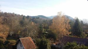 a small house in a forest with mountains in the background at Appartement Adourette in Bagnères-de-Bigorre