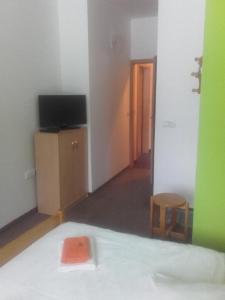 Un televizor și/sau centru de divertisment la Hotel Anna